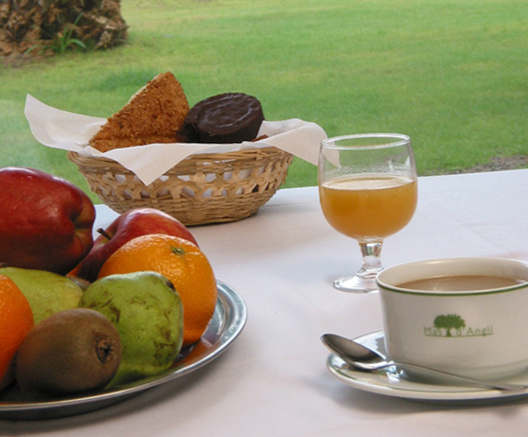 diabetes_malalties cròniques_alimentació dieta_gent gran