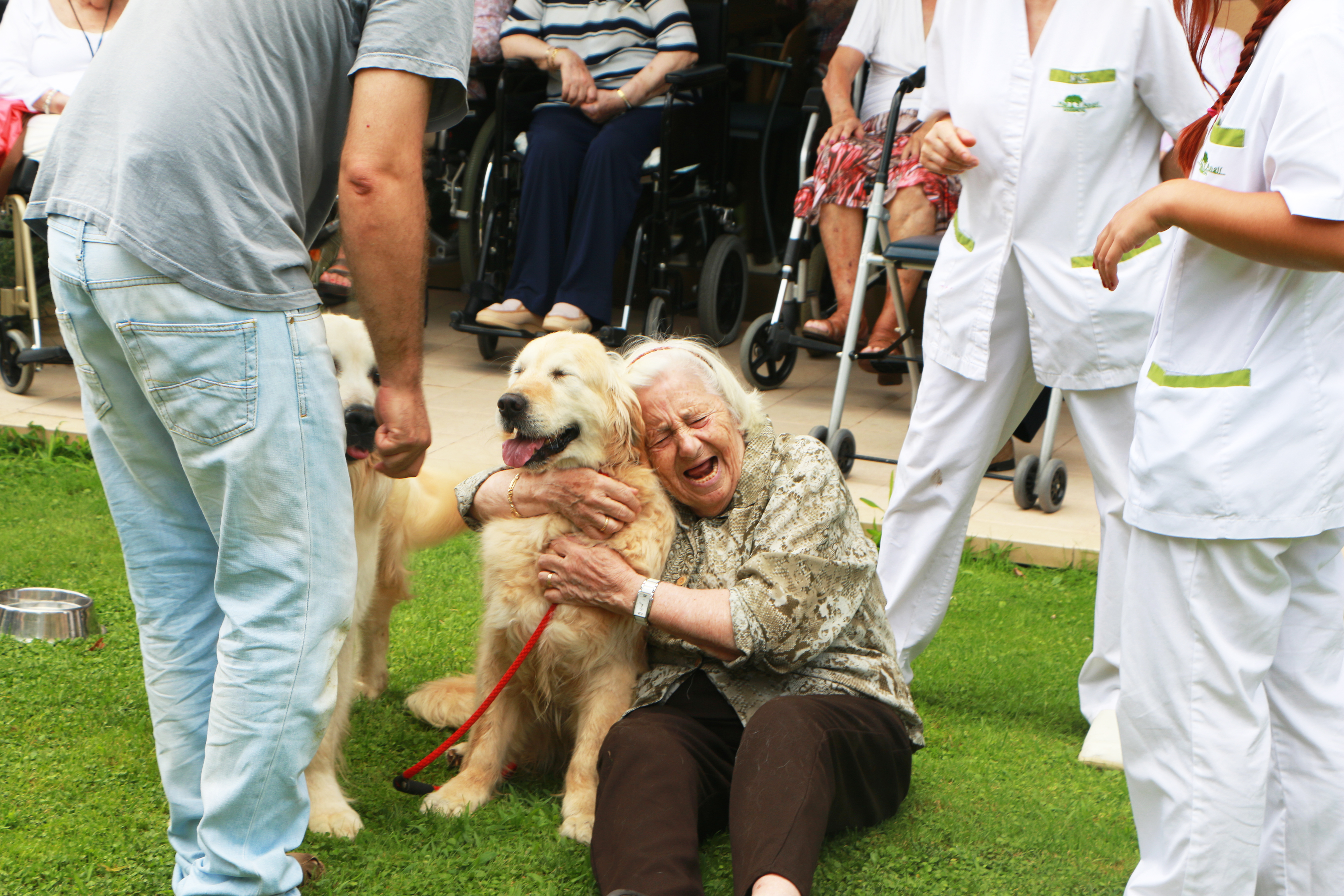 Beneficios de la terapia asistida con animales_