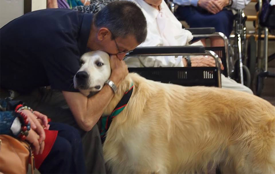 Beneficis de la teràpia assistida amb animals